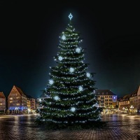 SADY na stromy - DLED TRS7023 LED světelná sada na stromy vysoké 21-23m, ledová bílá s dekory 8EFD08