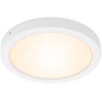 Kruhová - BRI 7141-016 LED stropní svítidlo, pr. 30 cm, 21,4 W, bílé - BRILONER