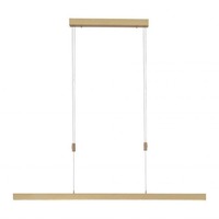 Podélná - PN 2568-60 ADRIANA LED závěsné svítidlo, matná mosaz, lineární, design 2700-5000K - PAUL NEUHAUS