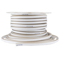 LED flex neon - LED Flex-Neon 220V