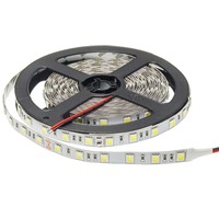 5050 - LED pás 5050 24V Non-Waterproof Professional Edition