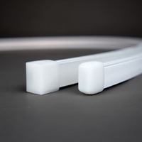 Příslušenství pro LED pásky - SLC S16074 Koncovka pro NeonFlex SideBend - TLG