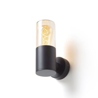 Nástěnná - RED R14129 QUINN nástěnná černá jantarové sklo 230V E27 11W IP54 - RED - DESIGN RENDL