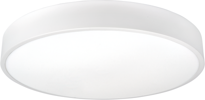 LED stropní svítidla - Stropní světlo LED Bílé tělo - kulaté