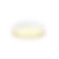 Kruhová - LA 1008919 DECONA 30 CL, PHASE, povrchové stropní svítidlo, kulaté, 3000/4000K, 17 W, bílé/zlaté - BIG WHITE (SLV)