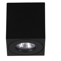 Přisazená - EG 901029 Stropní venkovní svítidlo TORRECOLA EGLO 901029 - EGLO