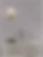 Dekorativní - NV 9080125 Nástěnné svítidlo MONET mosazné železo a sklo E27 D30 H16 - NOVA LUCE