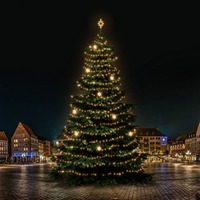 SADY na stromy - DLED TRS7022W LED světelná sada na stromy vysoké 21-23m, teplá bílá s dekory EFD05W