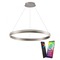 Kruhová - PN 8412-55 Závěsné svítidlo Q-VITO LED Smart Home 79,4cm 58W 5800lm 2700-5000K ocel - PAUL NEUHAUS