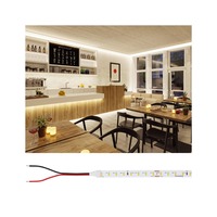 Pracovní osvětlení - P 76016 Pro LED Strip Silver P75 827 5m 23W 700lm/m 96LEDs/m 2700K - PAULMANN