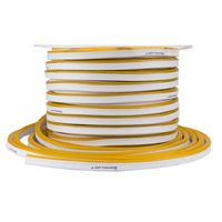 LED flex neon - LED Flex-Neon 220V