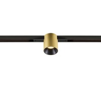 Lištové Magnetic SLV - LA 1008955 FIX-IT! 48V, DALI, kulatý, standardní stopa, spot, 2000-3000 K, 7,4 W, 36°, zlatý / černý - BIG WHITE (SLV)