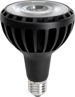 E27 - LED žárovka PAR30 E27