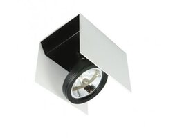 Bodová - BPM 8219.09 Stropní svítidlo Yuzey - U G53 matná bílá s černou polomatnou - BPM