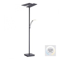 Stojací lampy - PN 687-13 ARTUR LED stojací lampa antracit, nastavitelná, stmívatelná, čtecí rameno, CCT paměť 2700-5000K - PAUL NEUHAUS