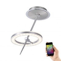 Bodová - PN 6991-55 Q-AMY LED stropní svítidlo Smart Home 1-ramenné 2700-5000K - PAUL NEUHAUS