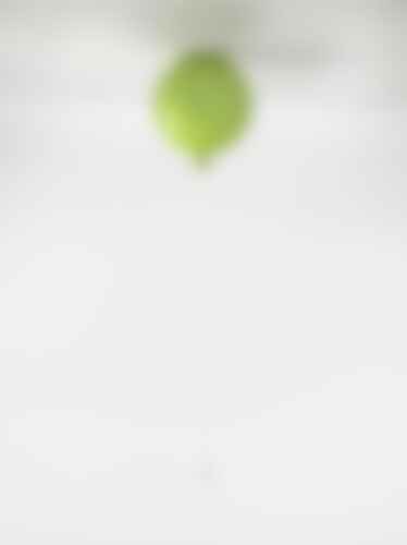 Dekorativní - BRO PC00878_009 Memory, stropní svítidlo zelené jablko lesklé, 1x15W E27, prům. 25cm - BROKIS C - foto 1