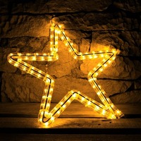 Venkovní profi motivy - DLED EFD12W LED světelný motiv hvězda, pr. 40cm, teple bílá