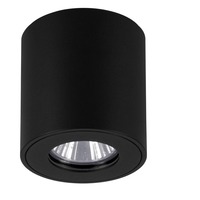 Přisazená - EG 901028 Stropní venkovní svítidlo TORRECOLA EGLO 901028 - EGLO