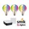 E27 - P 5193 Startovací sada Smart Home Zigbee 3.0 LED žárovka Filament G95 RGBW + Gateway + vypínač - PAULMANN
