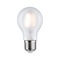E27 - P 28615 LED žárovka 3 W E27 mat teplá bílá - PAULMANN