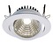 Kruhová - IMPR 565068 Kapego COB Downlight výklopný 12W 4000K bílá 350mA - LIGHT IMPRESSIONS