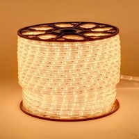 Světelné kabely - DLED LEDRL100W DecoLED LED hadice - 100m, teple bílá, 3000 LED