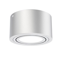 Bodová - BRI 7121-014 LED přisazené svítidlo, pr. 9 cm, 5 W, stříbrná - BRILONER