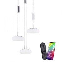 Vícečetná - PN 2078-55 Paul Neuhaus, Q-ETIENNE, LED závěsné svítidlo ocel, Smart Home ZigBee 2700-5000K - PAUL NEUHAUS