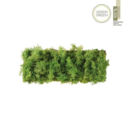 Dekorativní - LD 15637-66 GREEN CARLO LED nástěnné svítidlo islandský mech teplá bílá 3000K akustické - LEUCHTEN DIREKT / JUST LIGHT - foto 1