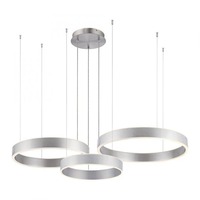 Kruhová - PN 2507-55 SCULLI LED závěsné svítidlo stříbrná kruhové senzor stmívatelné CCT 2700-5000K - PAUL NEUHAUS