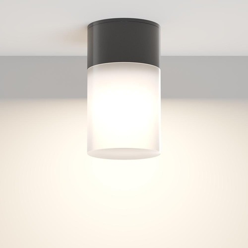 Přisazená - M O418CL-01B Stropní svítidlo Willis 60W IP54 černá hliník bílý plast válcové - MAYTONI - foto 1