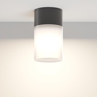 Přisazená - M O418CL-01B Stropní svítidlo Willis 60W IP54 černá hliník bílý plast válcové - MAYTONI