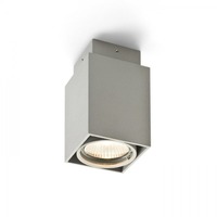 Downlight - RED R10164 Stropní svítidlo EX hranatá přisazená stropní stříbrná 230V GU10 - RED - DESIGN RENDL