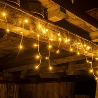 Venkovní krápníky - DLED LWI25W DecoLED Svítící rampouchy - 2 x 0,5 m, 40 teple bílých LED