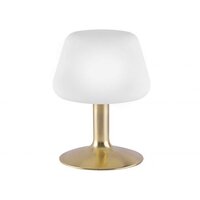 Stolní lampy dekorační - PN 4078-60 TILL LED stolní lampa v matné mosazi a stínítkem z opálového skla, teplá bílá barva vč. dotykového stmívání 3000K - PAUL NEUHAUS