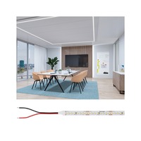Hlavní osvětlení - P 78448 Pro LED Strip Gold P150 965 5m 62W 1600lm/m 160LEDs/m 6500K - PAULMANN