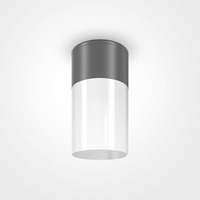 Přisazená - M O418CL-01GR Stropní svítidlo Willis 60W E27 šedá hliník bílý plast IP54 - MAYTONI