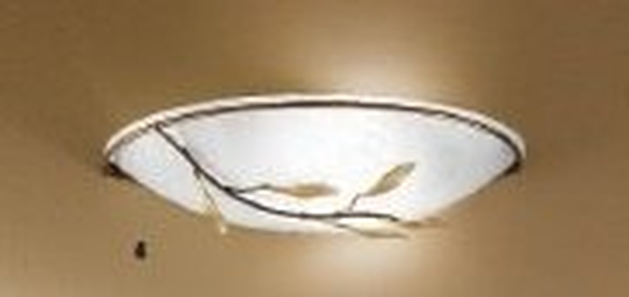 Dekorativní - OR WA 2-943/1 Nástěnné svítidlo 1xE14 antik, dekor list, šířka 30cm - ORION - foto 1