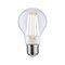 E27 - P 29229 Eco-Line Filament 230V LED žárovka E27 4,5W 3000K stmívatelné čirá - PAULMANN