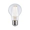 E27 - P 29229 Eco-Line Filament 230V LED žárovka E27 4,5W 3000K stmívatelné čirá - PAULMANN