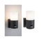 Nástěnná - P 94648 Venkovní nástěnné svítidlo Tubs pohybové čidlo IP44 kruhové 105x130mm max. 15W 230V šedá mat kov/umělá hmota - PAULMANN