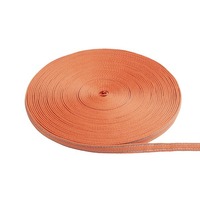 Páskové WAVE - RED R14325 WAVE 10m textilní pás oranžová 24V  - RED - DESIGN RENDL