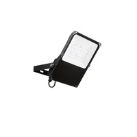 Reflektory - FAN LED-GIOVE-100 Venkovní reflektor GIOVE antracit, hliník, 100 W, 15670 lm, 6000 K, IP66, 36,4 x 27,8 x 5,2 cm - FANEUROPE