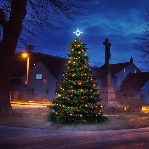 SADY na stromy - DLED TRS101M LED světelná sada na stromy vysoké 3-5m, barevná - foto 1