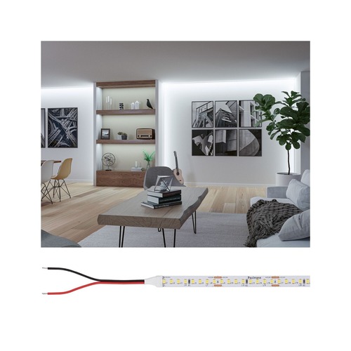 Hlavní osvětlení - P 76024 Pro LED Strip Silver P150 865 5m 50W 1550lm/m 160LEDs/m 6500K - PAULMANN - foto 1