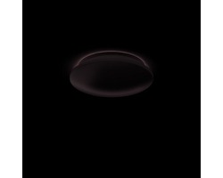 Kruhová - PH 32096/31/P0 Mauve STROPNÍ/NÁSTĚNNÉ SVÍTIDLO 32096/31/P0 - Philips (915005297001)