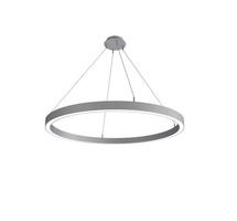 Kruhová - IMPR 950444 Deko-Light závěsné svítidlo Lautaro 1200/60 Down prisma M4, 72 W, DALI, 3000 K, světlešedá - DEKOLIGHT