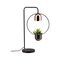 Stolní lampy dekorační - P 79746 Stolní lampa Fanja 1-ramenné pro osvětlení rostlin černá/měď - PAULMANN
