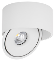 LED svítidla COB - LED COB Downlight 20W ROUND ROTATABLE BÍLÁ - BRIDGELUX